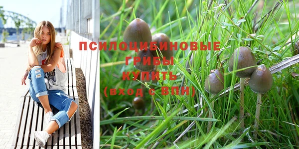 гидра Абдулино